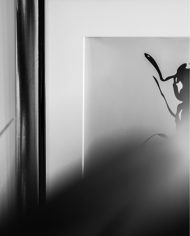 Bild_Ameise_Interior_Kanzlei
